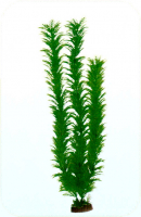 Растение Plastic Plant 30 см - AP1003A