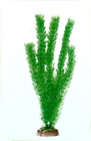 Растение Plastic Plant 50 см - AP1008Z