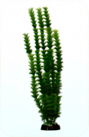 Растение Plastic Plant 50 см - AP1002E