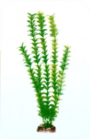 Растение Plastic Plant 40 см - AP1002A