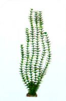 Растение Plastic Plant 20 см - AP1014E