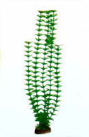 Растение Plastic Plant 50 см - AP1005A