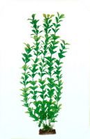 Растение Plastic Plant 20 см - AP1010A