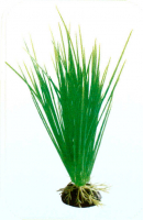 Растение Plastic Plant 20 см - AP1013A