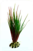 Растение Plastic Plant 20 см - AP1009B