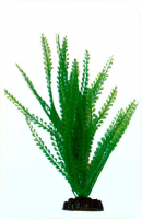 Растение Plastic Plant 40 см - AP1013A