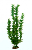 Растение Plastic Plant 40 см - AP1001A