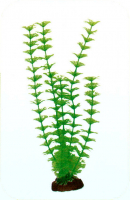 Растение Plastic Plant 50 см - AP1005H
