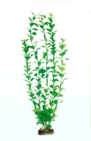 Растение Plastic Plant 40 см - AP1007A