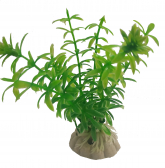 Растение 021062 6 см