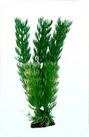 Растение Plastic Plant 20 см - AP1008E